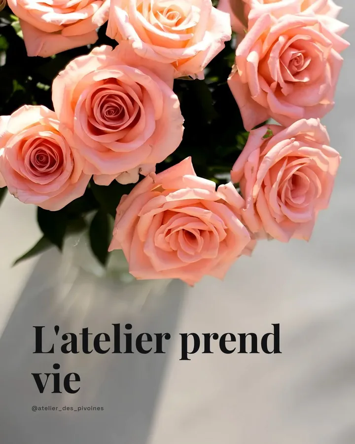 Visuel préparé pour @atelier_des_pivoines